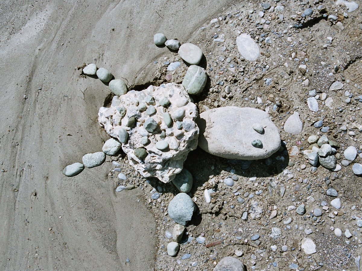 Créatures de la gravière